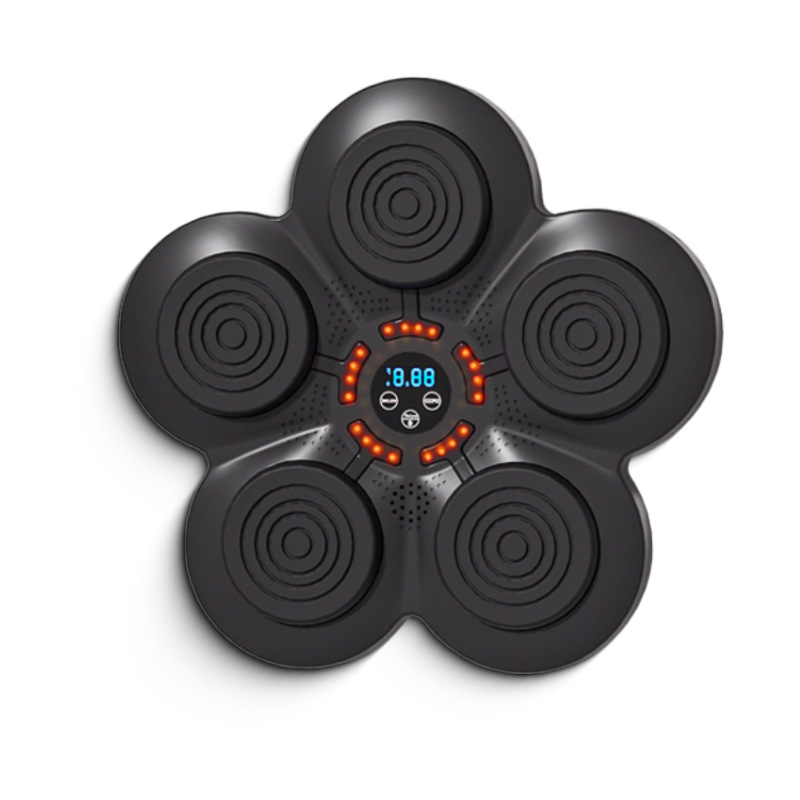 Wall Mounted Boxing Training M - Home Improvement Music recension och pris